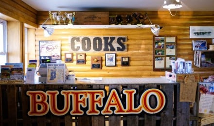 Authentic Wagon Tour at Cook Bison Ranch